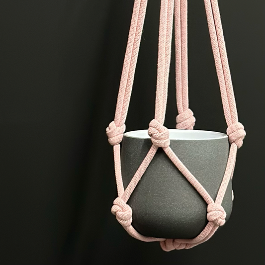 Chunky Plant Hanger