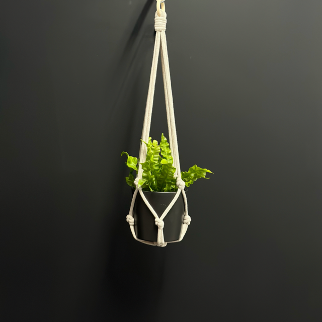 Chunky Plant Hanger