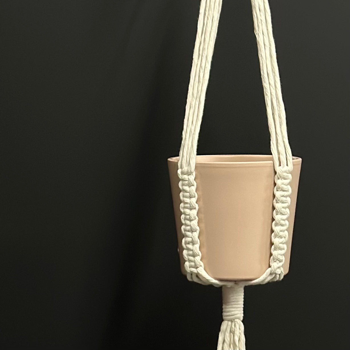 ‘Lilly’ Plant hanger
