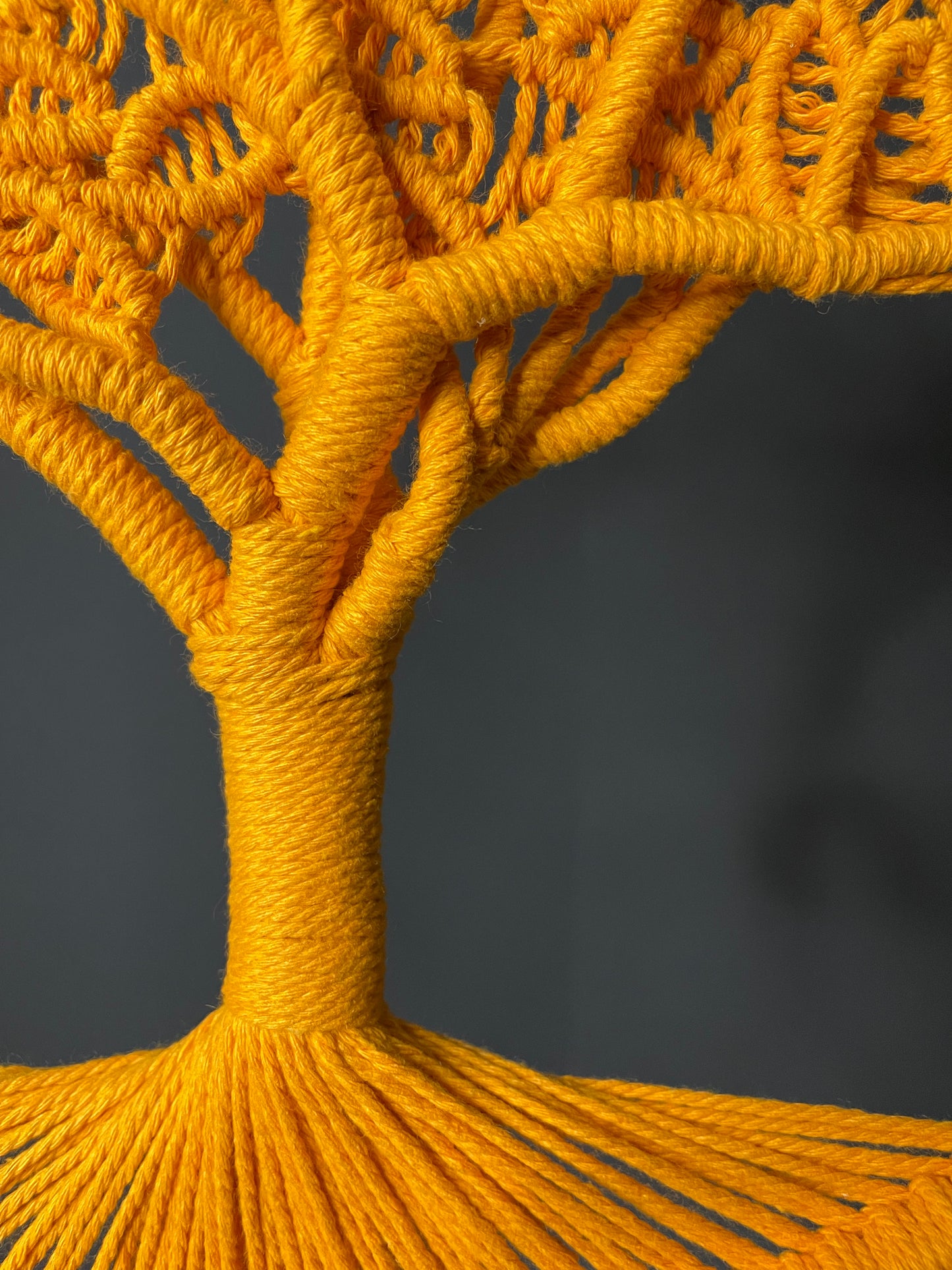 Macrame 'Tree of Life'