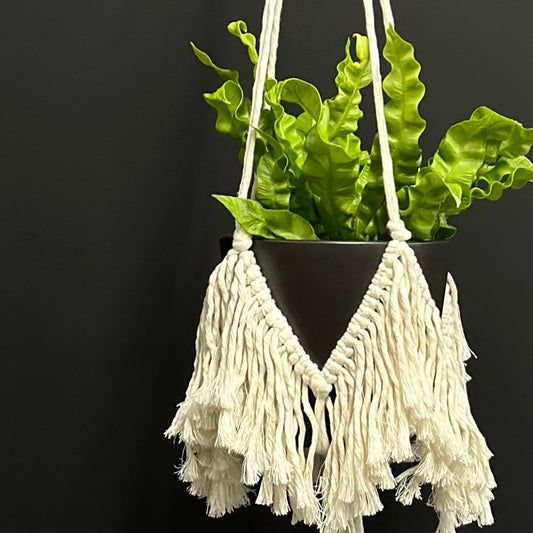 ‘Freya’ Plant Hanger