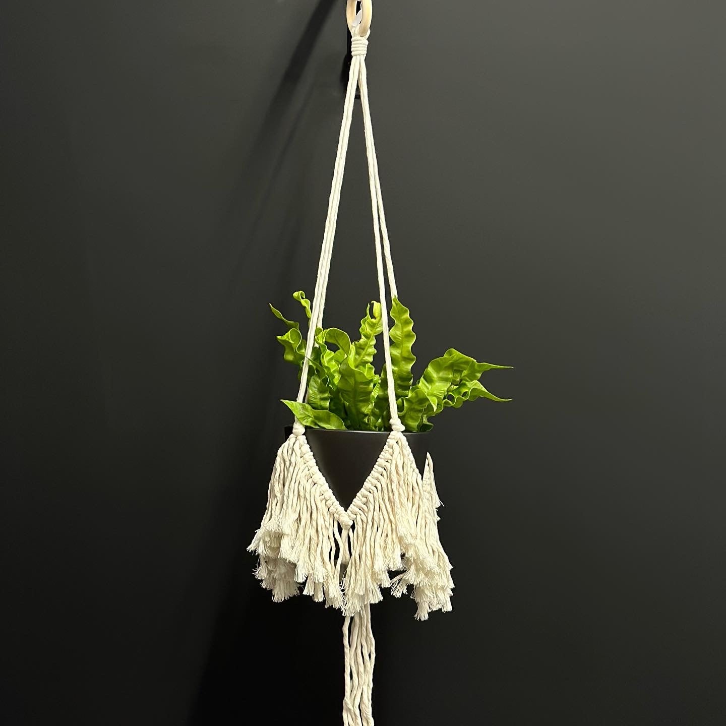 ‘Freya’ Plant Hanger